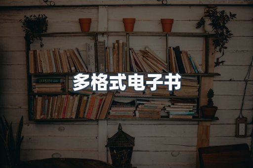 海外电子书